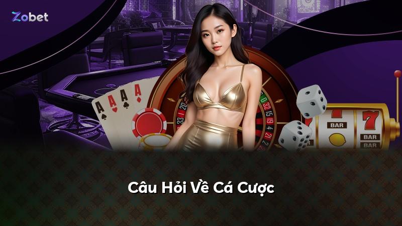 Câu Hỏi Về Cá Cược