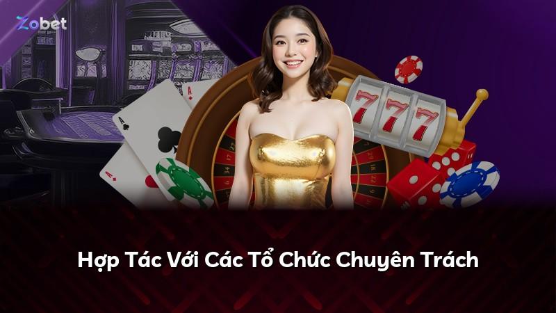 Hợp Tác Với Các Tổ Chức Chuyên Trách
