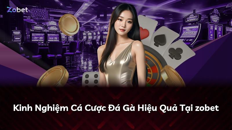Kinh Nghiệm Cá Cược Đá Gà Hiệu Quả Tại zobet