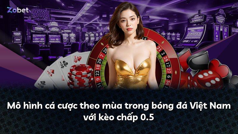 Mô hình cá cược theo mùa trong bóng đá Việt Nam với kèo chấp 0.5