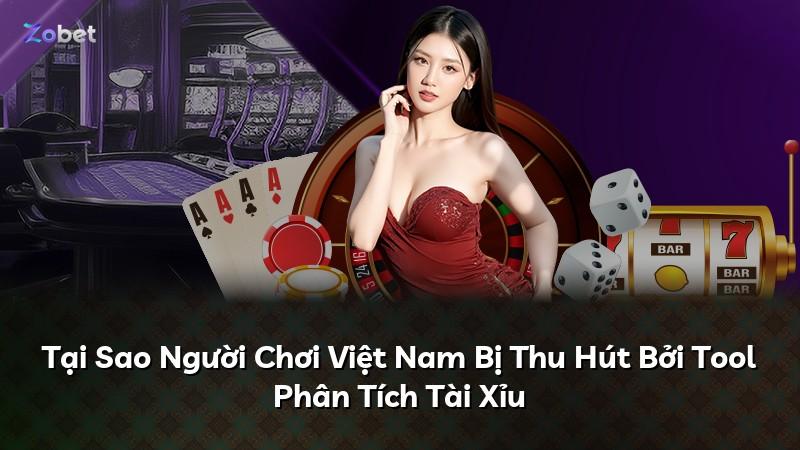 Tại Sao Người Chơi Việt Nam Bị Thu Hút Bởi Tool Phân Tích Tài Xỉu