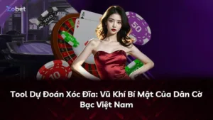 Tool Dự Đoán Xóc Đĩa: Vũ Khí Bí Mật Của Dân Cờ Bạc Việt Nam